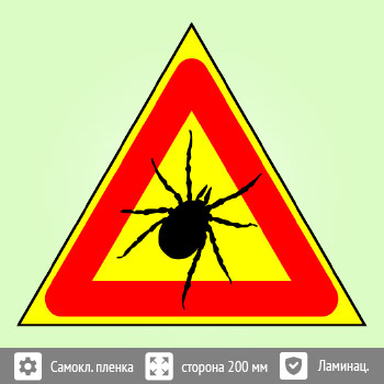 ���� �������! �����, B100 (������ c ��������������, ������� 300 ��)