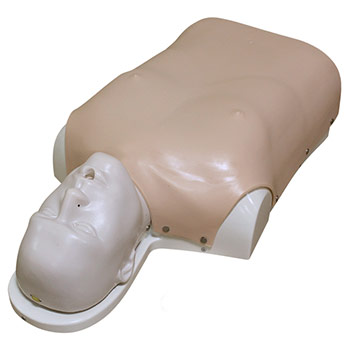 ������ �������������� (����)