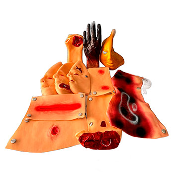 ����� ������� � ��������� (43 ��������)