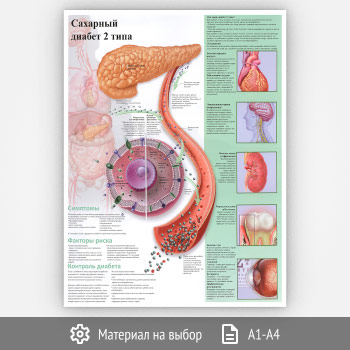 ������ ��������� ������ 2 ���� (���-27, 1 ����)