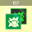 ���� E17 ���� ������� ������� ������ (�������. ������� ����, 150�150 ��)